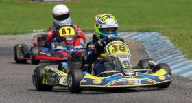 brena_kart brena_kart